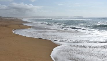 חוף ים. קרדיט תמונה ראשית: Bigstock