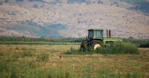חקלאות בעמק החולה, מתוך Flickr, צילום: chadika, cc 2.0