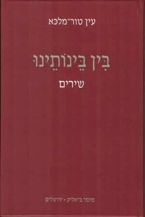 כריכת הספר_בִּין בֵּינוֹתֵינוּ